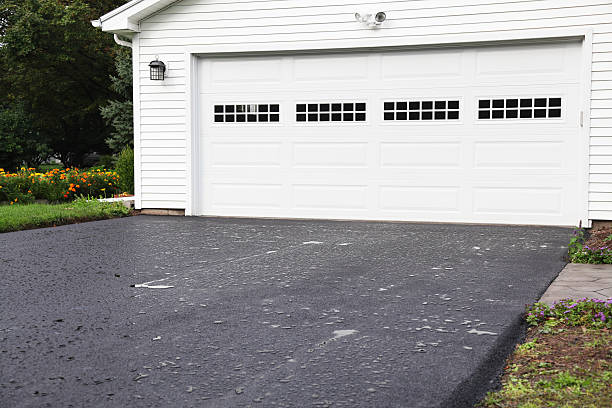 Best Hoarding Cleanup  in Riverview, FL